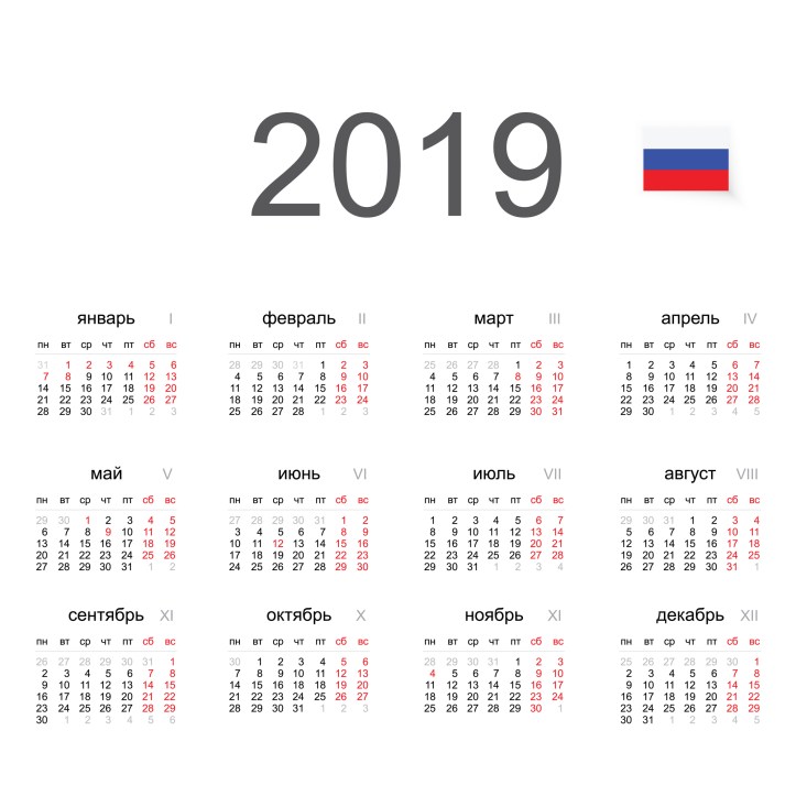 Simple 2019 year Russian calendar.  Vector circle calendar 2019