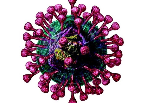 c02f5b358cfd00d97e616b7960c1901a0c6e3ba4